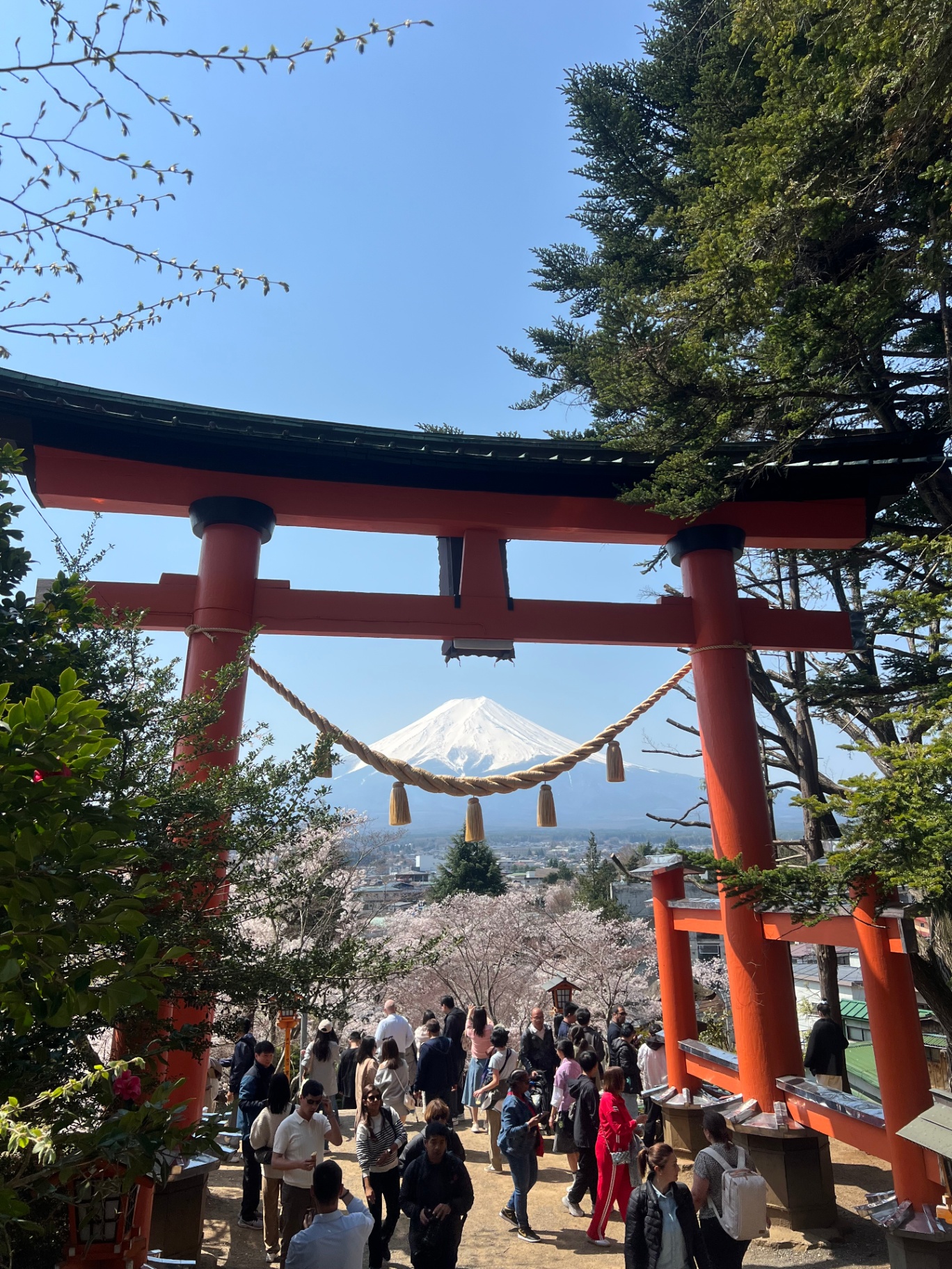 Mt Fuji